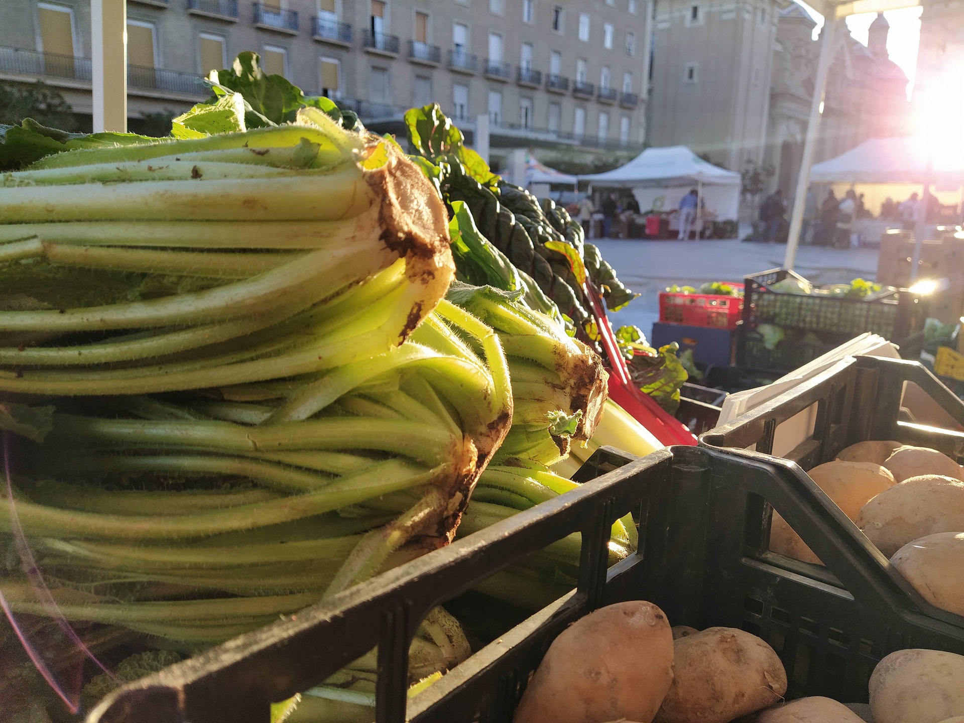 Planificar compra fruta verdura temporada