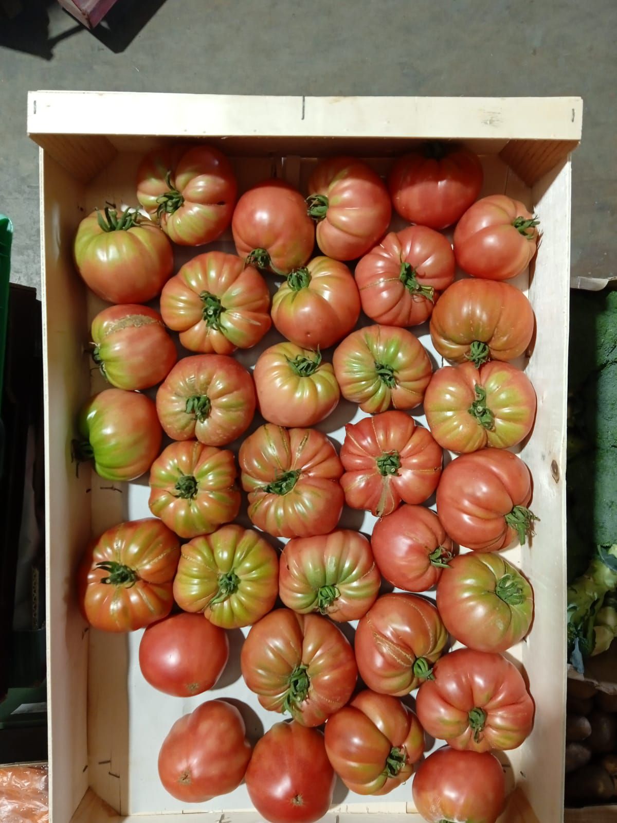 tomate ecológico marmande rojo