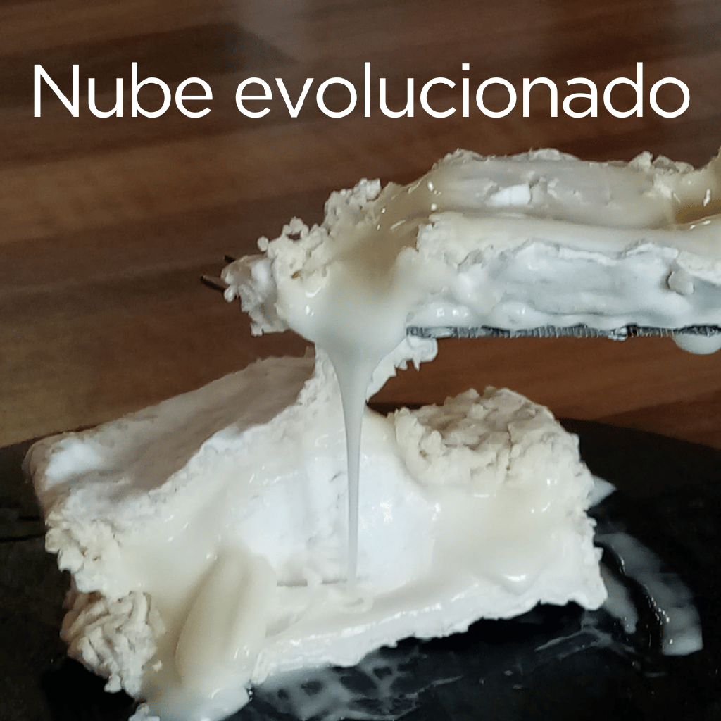 Queso Nube evolucionado