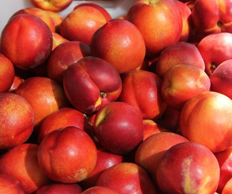 NECTARINA calAA  - KG (España)