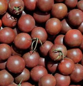 TOMATE CHERRY ROJO - KG (Aragón)