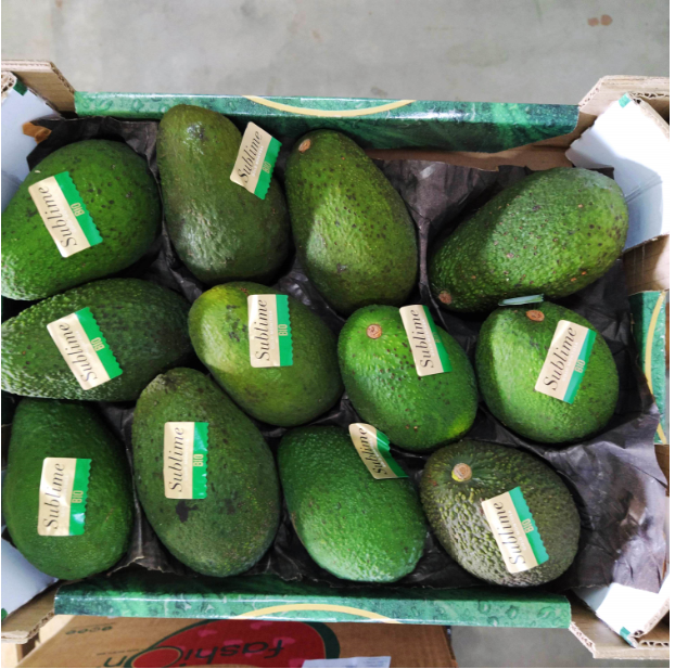 AGUACATE HASS cal 12-16 - KG (España)