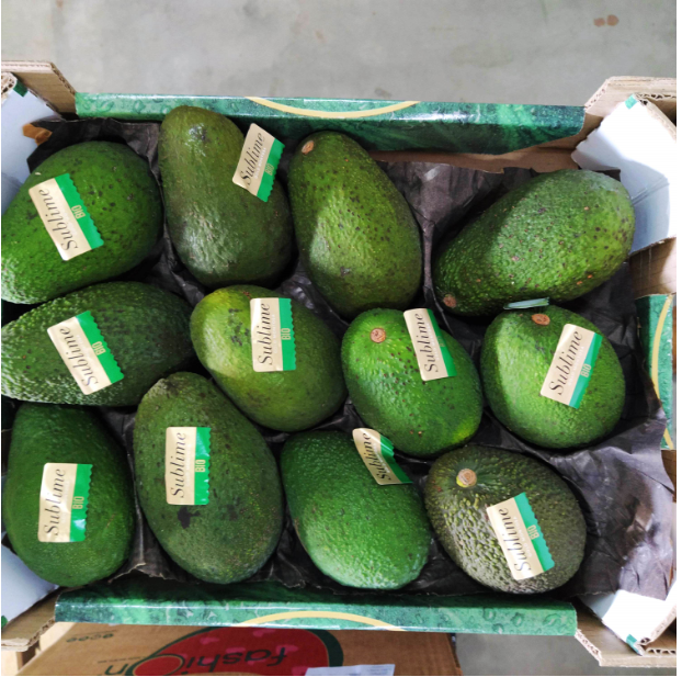 AGUACATE HASS cal 12-18 - KG (España)
