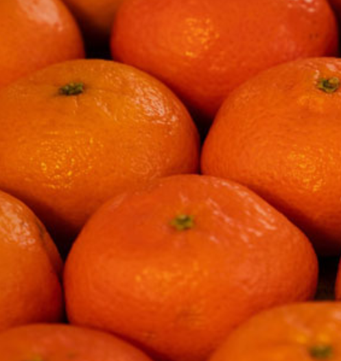 MANDARINA - KG (España)