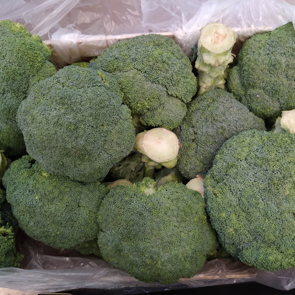 BROCOLI - KG (Aragón)