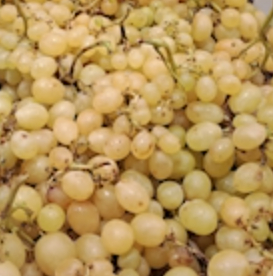 UVA BLANCA MOSCATEL (RC) - KG (España)