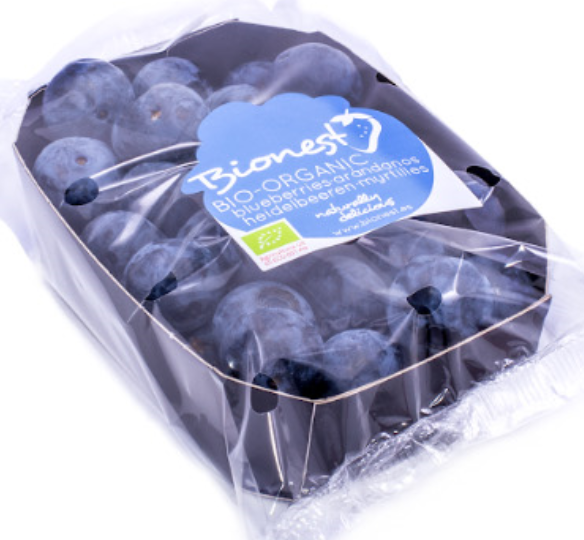 ARANDANOS (500 GR) - TARRINA (España)