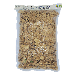 Almendra frita con sal bolsa 1Kg. Bio (Ráfales, Teruel)