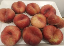 PARAGUAYO calAA- KG (España)