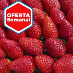 FRESAS - Caja de 900 gramos (Parque Natural del Doñana-Huelva) Bio y Bcorp