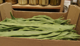 JUDÍA VERDE EXTRA - KG (Aragón)
