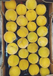 MELOCOTÓN AMARILLO Calibre grande - KG (Aragón)