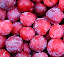 CIRUELA ROJA - KG (España)