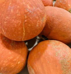 CALABAZA POTIMARRÓN - KG (Aragón)