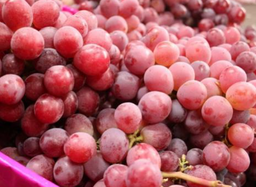 UVA ROJA SIN PEPITAS (RC) - KG (España)