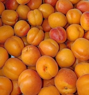 ALBARICOQUE  ROJO KG (Zaragoza)