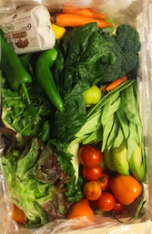 Cesta Anticrisis +5 kgs - entrega gratuita